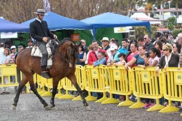 Más de 900 animales en la Feria de Ganado de Gran Canaria (Foto TA)